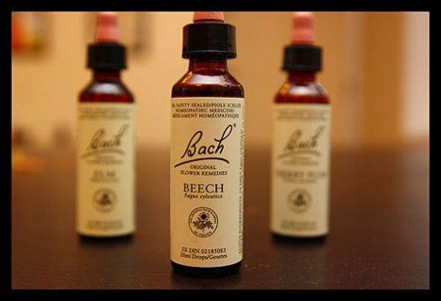 Bach virágesszenciák meddőség ellen Bach virágesszenicák meddőség ellen