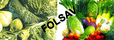 Miben van folsav? Folsav miben van, folsavat tartalmazó ételek