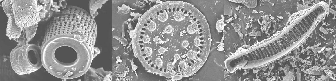 Kovaföld bél- és nyiroktisztító hatása Kovaföld méregtelenítő hatása - így működik a kovaföld