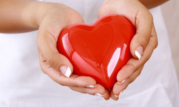 K2-vitamin jótékony hatása  a szívre