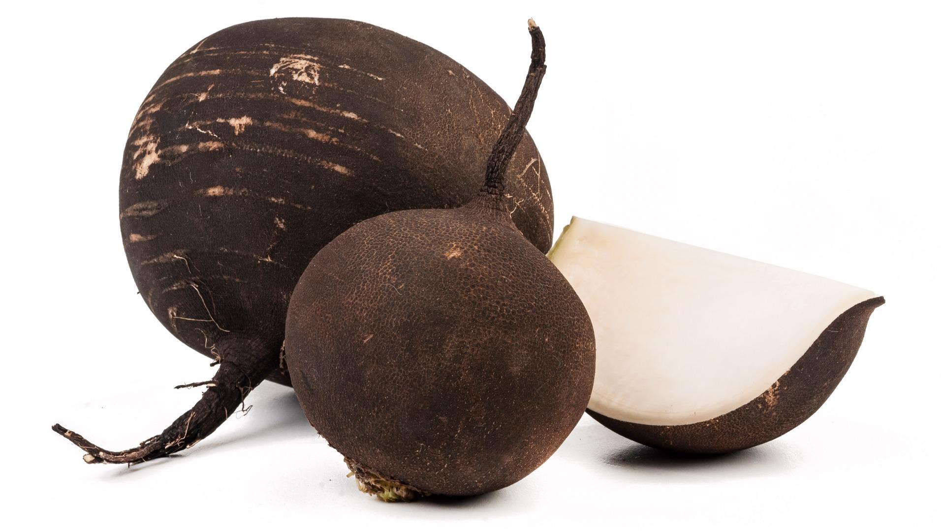 Mire jó a fekete retek? Fekete retek gyógyhatásai epe és máj problémákra