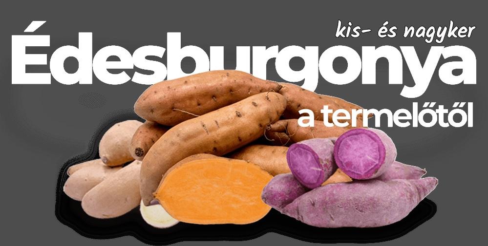 A batáta, mint gyógynövény Batata gyógyhatásai