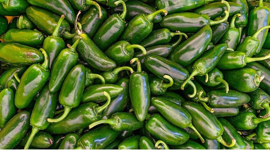 Halapenjo paprika jótékony hatásai Halapenjo paprika jotekony hatasai