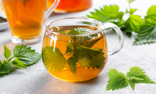 Méregtelenítés házilag csalánteával Méregtelenítés otthon csalánteával