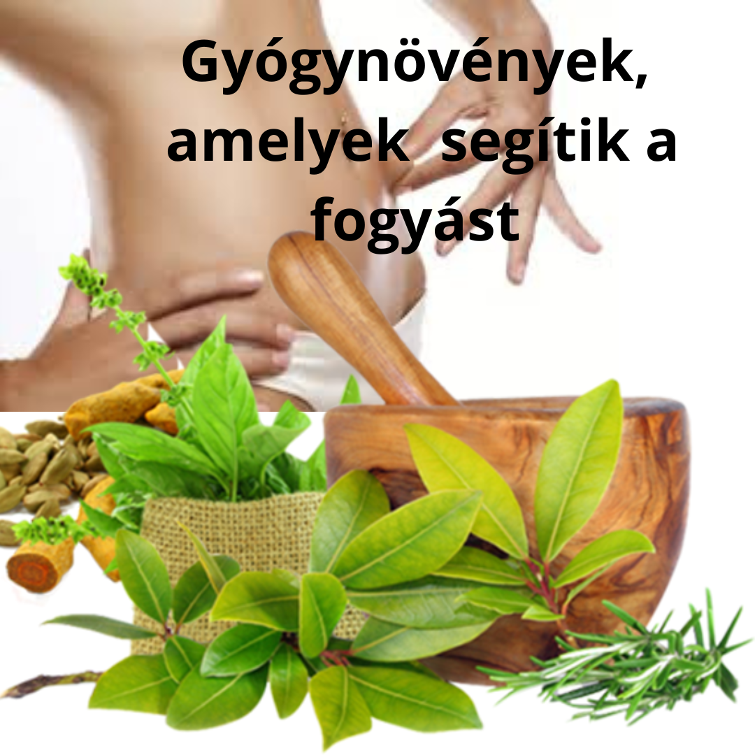 Fogyasztó, fogyókúrás növények Fogyasztó növények