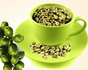 Zöld kávé tartós fogyáshoz zöld kávé kapszula fogyókúrához