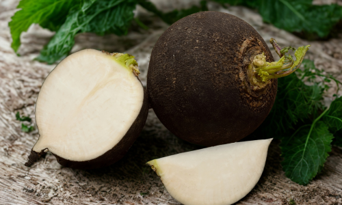 Fekete retek hatásai a májra és az epére Feketeretek a máj és az epe egészségéért