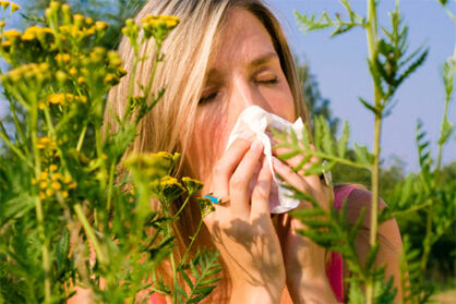 Sóterápia otthon allergia és asztma ellen