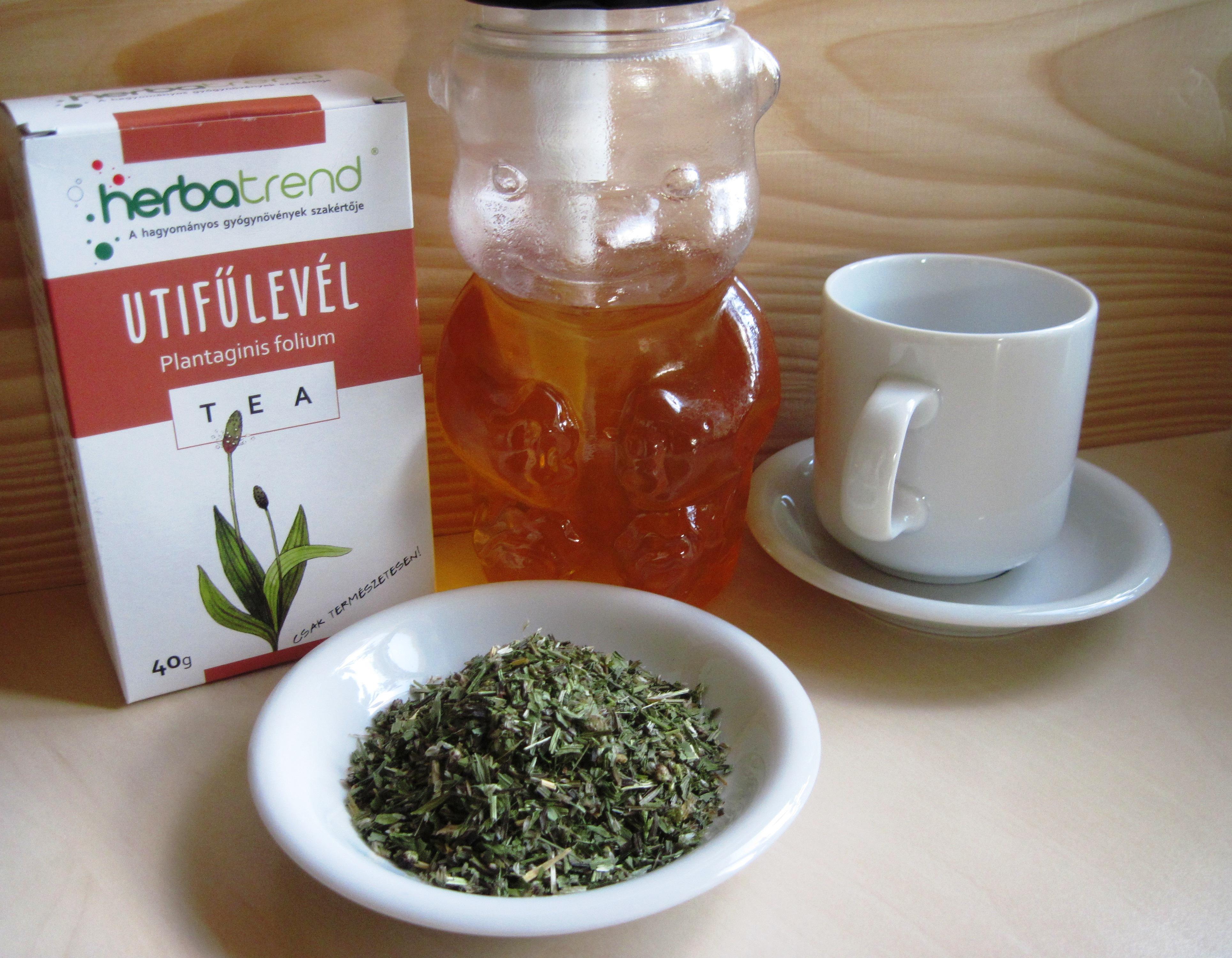 Lándzsás útifű szirup hozzávalói Lándzsás útifű szirup hozzávalói