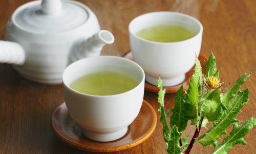 Benedekfű tea májtámogató és emésztés javító hatáasi