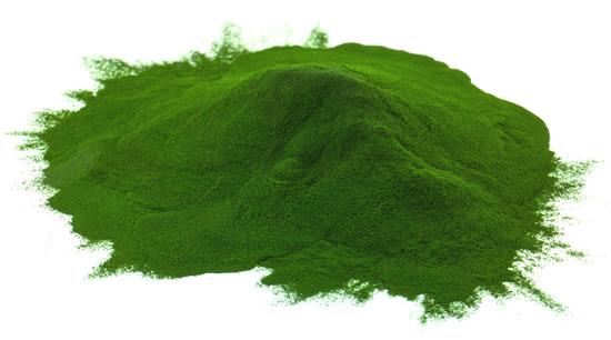 Chlorella alga por hatása