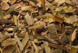 A fehér fűzfakéreg a legjobb természetes lázcsillapító Fehér fűzfakéreg természetes lázcsillapító gyógynövény