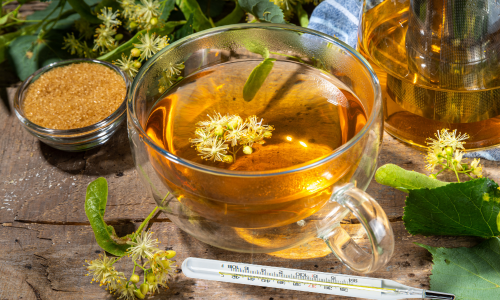 Lázcsillapító gyógynövények Lázcsillapító gyógynövények, természtes lázcsillapító szerek