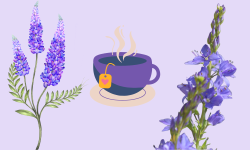 Orvosi veronikafű tea gyógyhatásai