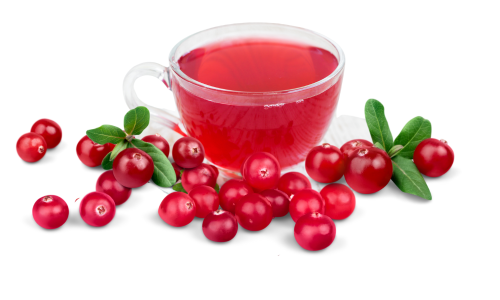 Tőzegáfonya tea gyógyhatásai felfázás ellen