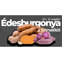 Batáta – amikor az étel és a gyógynövény világa találkozik