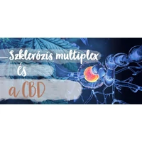 CBD-olaj és SM: képes a kannabidiol enyhíteni a szklerózis multiplex tüneteit?