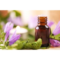 Aromaterápia alapjai: Mit tudnak az illóolajok, és hogyan hatnak ránk?