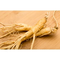 Ginseng gyökér gyógyhatása