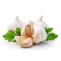 A fokhagyma gyógyhatásai