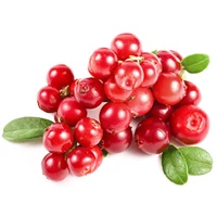 A tőzegáfonya gyógyhatásai