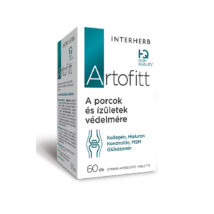 INTERHERB Artofitt porc-ízület tabletta 60 db