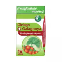 Dr. Chen Ginkgo+Galagonya kapszula 30 db