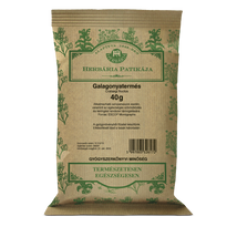 HERBÁRIA Galagonyatermés 40 g