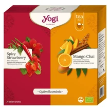 YOGI BIO Gyümölcs mánia karácsonyi tea ajándékcsomag 2x17 filter