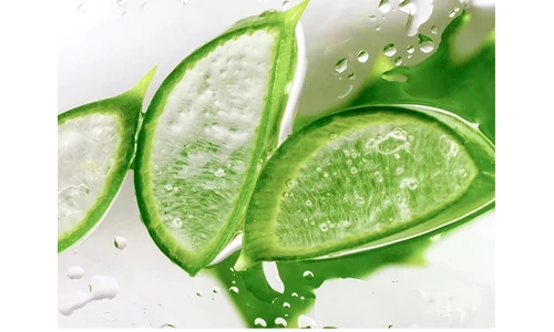 6 ok, amiért érdemes az aloe vera gélt beépítened a nyári bőrápolási rutinodba