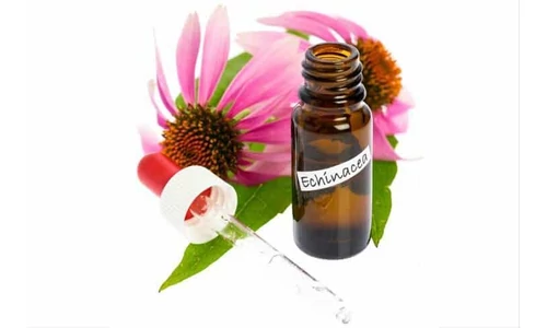 Echinacea cseppek jótékony hatásai