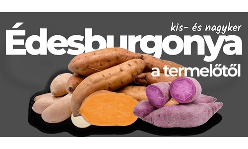 Batáta – amikor az étel és a gyógynövény világa találkozik