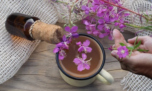 Mire jó a kisvirágú füzike tea? 