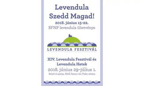 Levendula fesztivál 2018