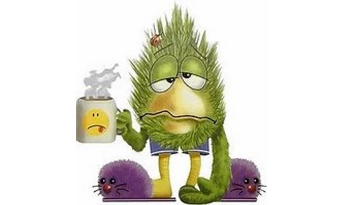 Így kúráld magad megfázás és influenza idején!