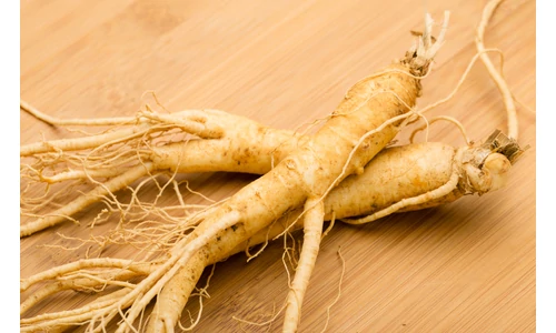 Ginseng gyökér gyógyhatása