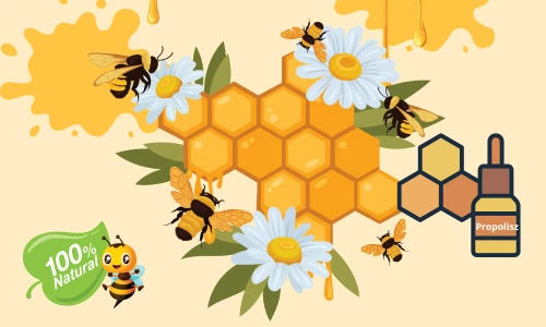Propolisz a családi patikában – természetes segítség a mindennapokban